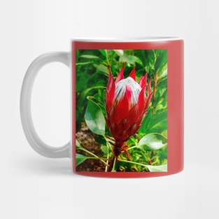 The King Protea Mug